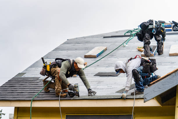 Professional Gutter Installation technician working in Milton, LA